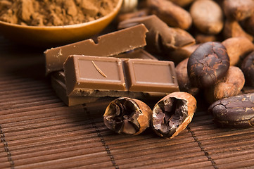 Image showing Cocoa (cacao) beans with chocolate