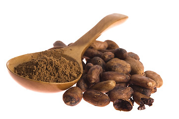 Image showing Cacao beans isolated on white background