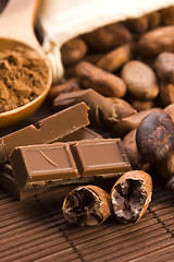 Image showing Cocoa (cacao) beans with chocolate