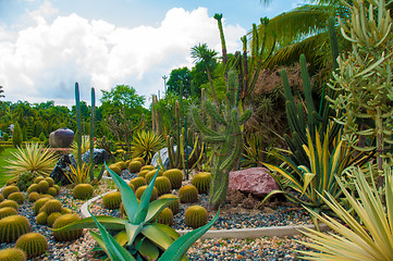 Image showing Garden