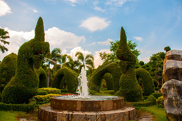 Image showing Garden