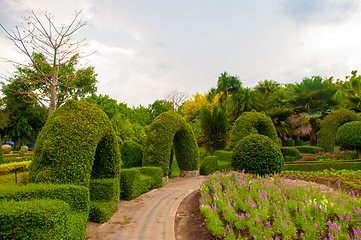 Image showing Garden