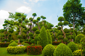 Image showing Garden