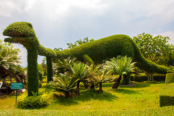 Image showing Garden