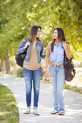 Image showing Young Adult Mixed Race Twin Sisters Walking Together