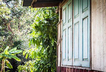 Image showing Close window of old henhouse with green garden