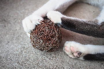 Image showing Cat paw with claws out play toy