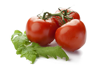 Image showing tomatoes