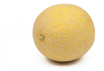 Image showing melon isolated