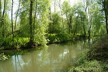 Image showing meadow landscape