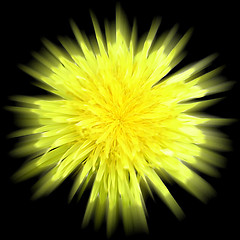 Image showing Dandelion Abstract