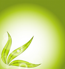 Image showing Nature background with green leaves