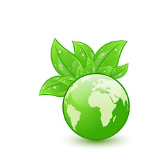 Image showing Global planet and eco green leaves isolated on white background