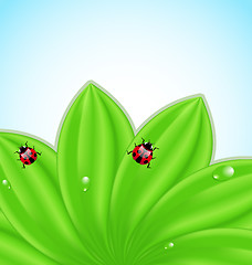 Image showing Green leaves ecology fresh background 