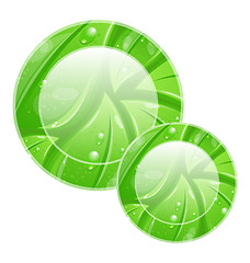 Image showing Eco friendly icon for web design, leaves texture 