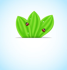Image showing Green leaves ecology fresh background 