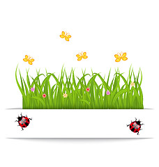 Image showing Spring card with grass, flower, butterfly, ladybug