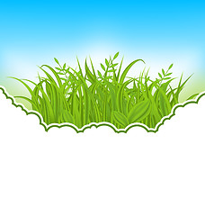 Image showing Nature card with green grass