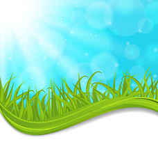 Image showing Spring natural card with green grass