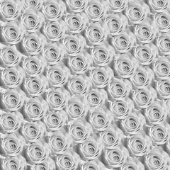 Image showing Black and White Image of Roses