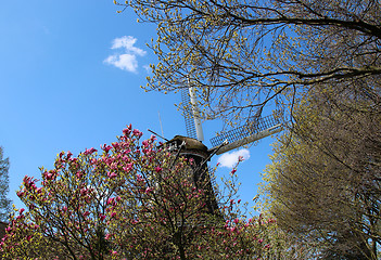 Image showing Holland windmills 