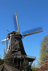 Image showing Holland windmills 