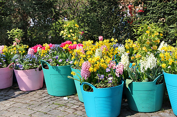 Image showing Sunny terrace with a lot of flowers