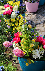 Image showing Sunny terrace with a lot of flowers