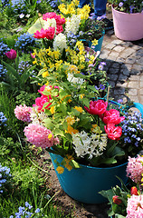 Image showing Sunny terrace with a lot of flowers