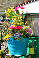 Image showing Sunny terrace with a lot of flowers