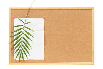 Image showing Background with blank crumpled paper and palm leavevacation message