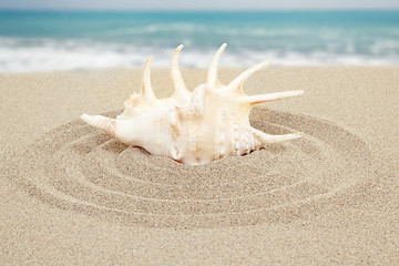 Image showing seashell with sand with sea in background