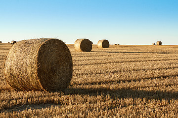 Image showing hay bale in the foreground of rural field 