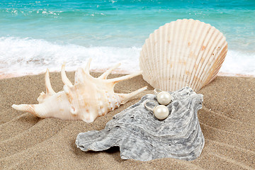 Image showing two pearl earrings and shells on sand