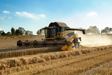 Image showing Yellow harvester combine on field harvesting gold wheat