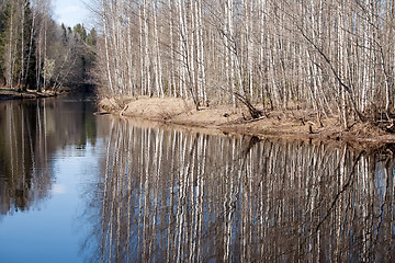 Image showing spring landscape