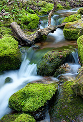 Image showing Water flowing over rocks