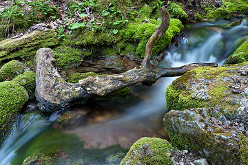 Image showing Water flowing over rocks