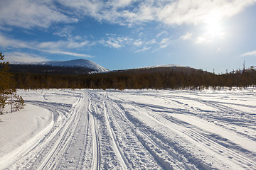 Image showing Traces of snowmobiles on forest clearing