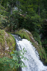 Image showing Triberg waterfall
