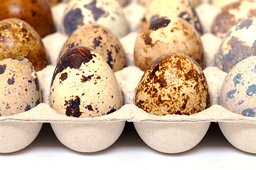 Image showing Speckled quail eggs in a carton box