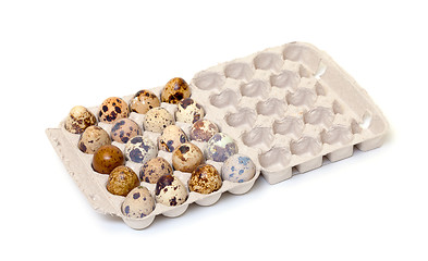 Image showing Speckled quail eggs in a carton box