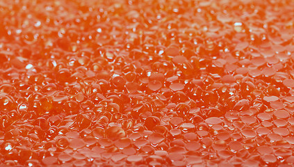 Image showing Red salted caviar