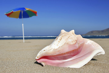 Image showing Tropical Beach