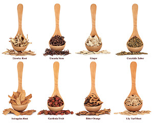 Image showing Chinese Herbal Medicine