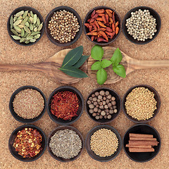 Image showing Spice and Herb Sampler