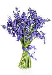 Image showing Bluebell Flower Posy