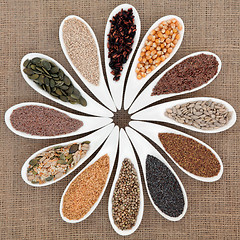 Image showing Seed Food Sampler