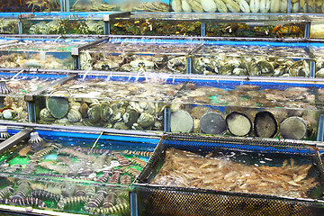 Image showing fish tank in seafood market 