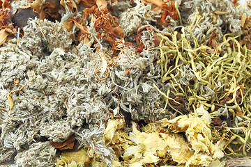 Image showing Chinese herbal tea ingredients 